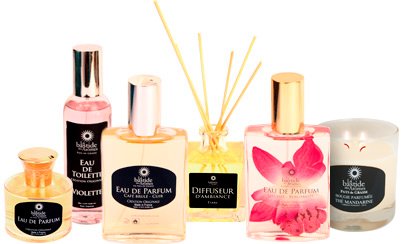 Perfume bottles and essential oils in a Grasse parfumerie